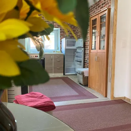 Apartment Duman Suza *
