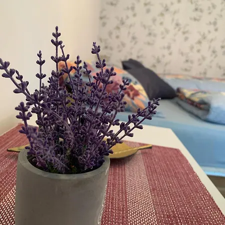 Duman Suza Apartamento Livno
