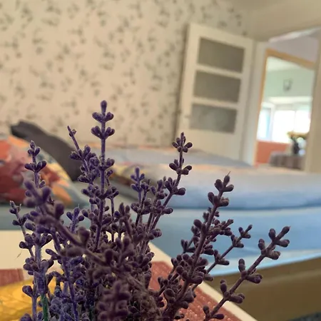 Apartamento Duman Suza Livno